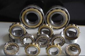 Rexroth hydraulic pump bearings  F-202993