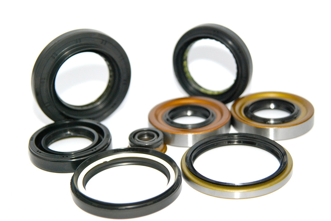 SKF 525036 / 41.125X1.063X1.5 CT1 R Oil Seals