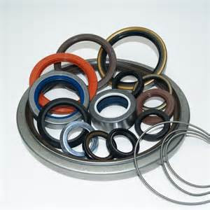 SKF 15X25X7 CRW1 R Oil Seals