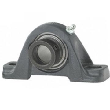 NTN AELP207-104D1 Pillow Block Bearings