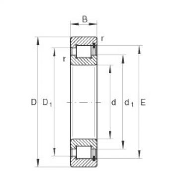 Bearing SL182220 INA