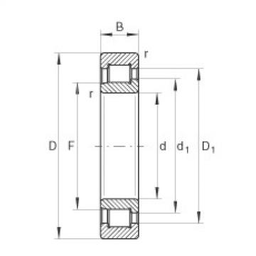 Bearing SL192305 INA