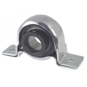 INA RPB30 Pillow Block Bearings