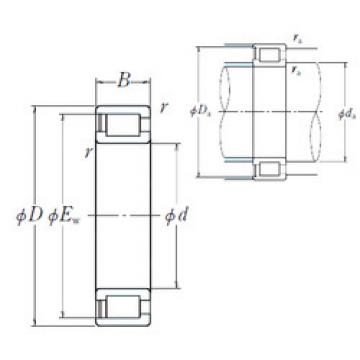 Bearing NCF18/560V NSK