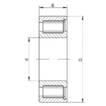 Bearing NCF1880 V CX