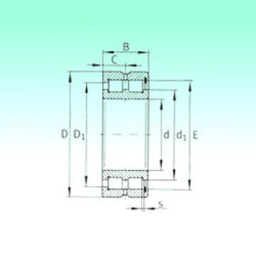 Bearing SL185024 NBS