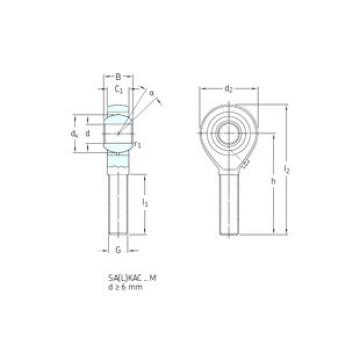 Bearing SAKAC10M SKF