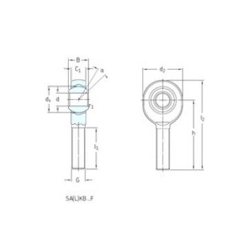 Bearing SAKB14F SKF