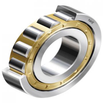 Bearing NAO25x40x17 CX