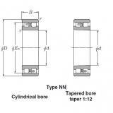 Bearings Cylindrical Roller Bearings NN49/950