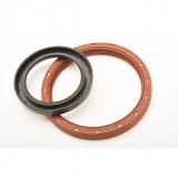 SKF 529086 / 46.5X0.813X1.25 CT1 R Oil Seals