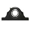 SKF SYNT 35 L Pillow Block Bearings