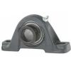 NTN AELP205-100F1D1 Pillow Block Bearings