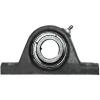 NTN JELP-1.3/16 Pillow Block Bearings