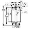 Bearing GEZ101ES-2RS AST