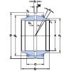 Bearing GEZM 100 ESX-2LS SKF #1 small image