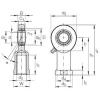 Bearing GIR 45 DO-2RS INA