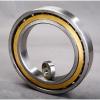 Bearing 17FSF30 NSK #1 small image