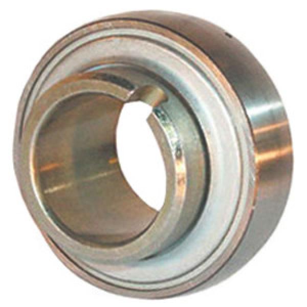 INA GLE60-KRR-B Insert Bearings Spherical OD #1 image