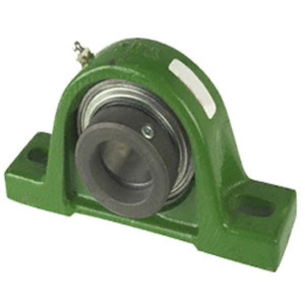 INA RASE1-1/4 Pillow Block Bearings #1 image