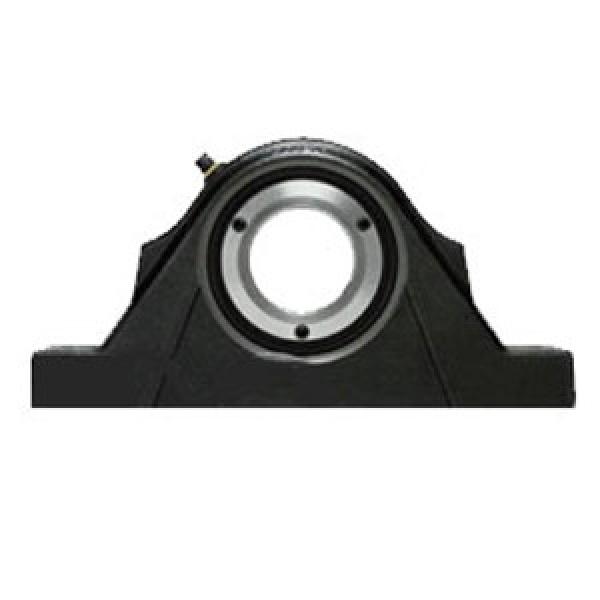 SKF SYNT 50 LTS Pillow Block Bearings #1 image