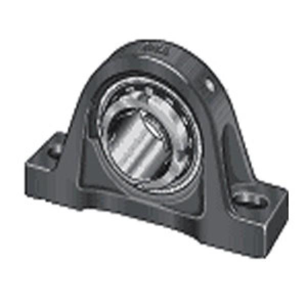 INA RASEA25-N Pillow Block Bearings #1 image