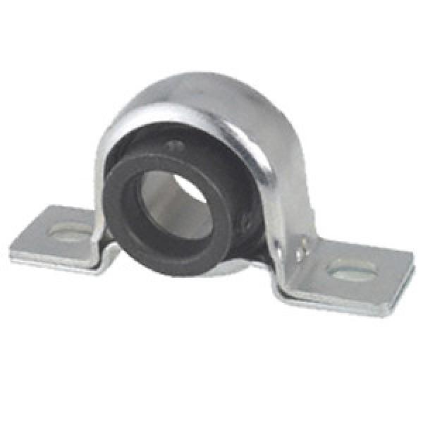 INA PB15 Pillow Block Bearings #1 image