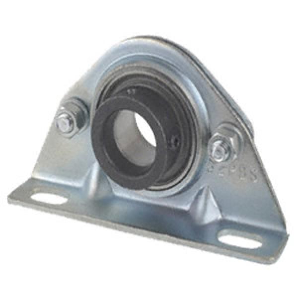 INA PBS35 Pillow Block Bearings #1 image