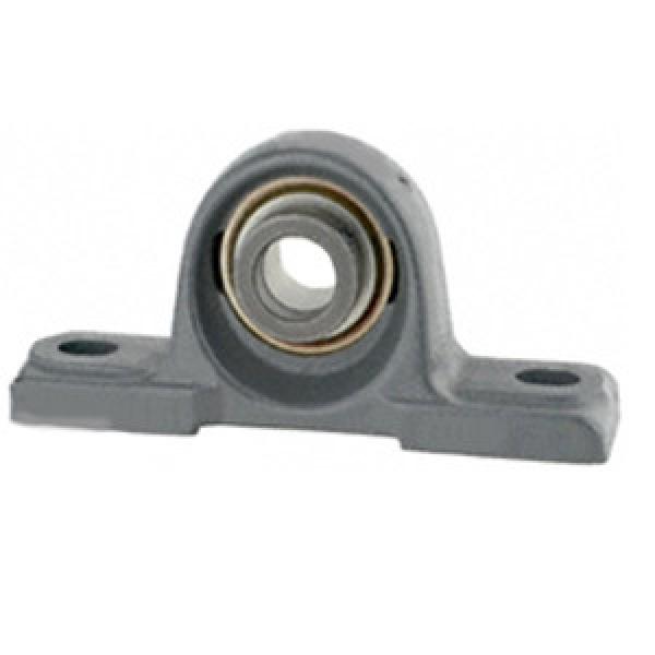 FAFNIR LSAO2 3/16 Pillow Block Bearings #1 image