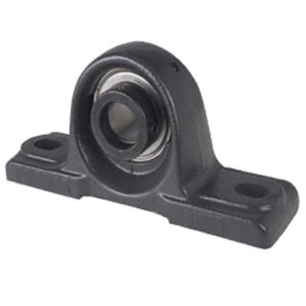 INA RSAO100 Pillow Block Bearings #1 image