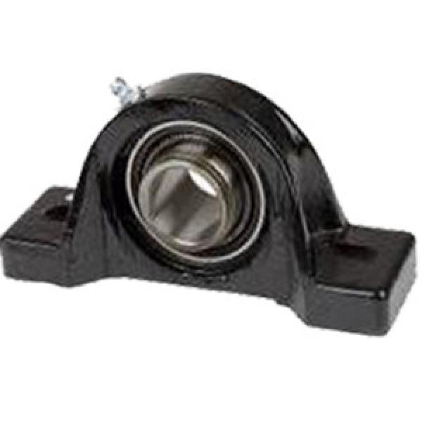 NTN PNR5/8RS Pillow Block Bearings #1 image