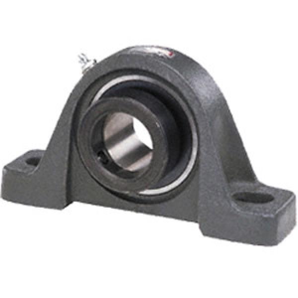 INA LASE25-N Pillow Block Bearings #1 image