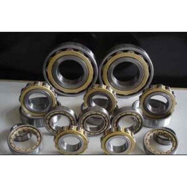 Rexroth hydraulic pump bearings F-202626 #1 image