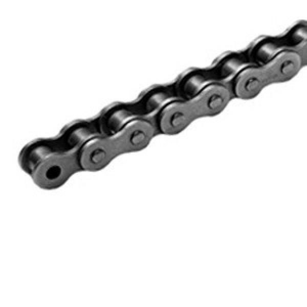 TSUBAKI RS12B-1-RP-R100 Roller Chains #2 image